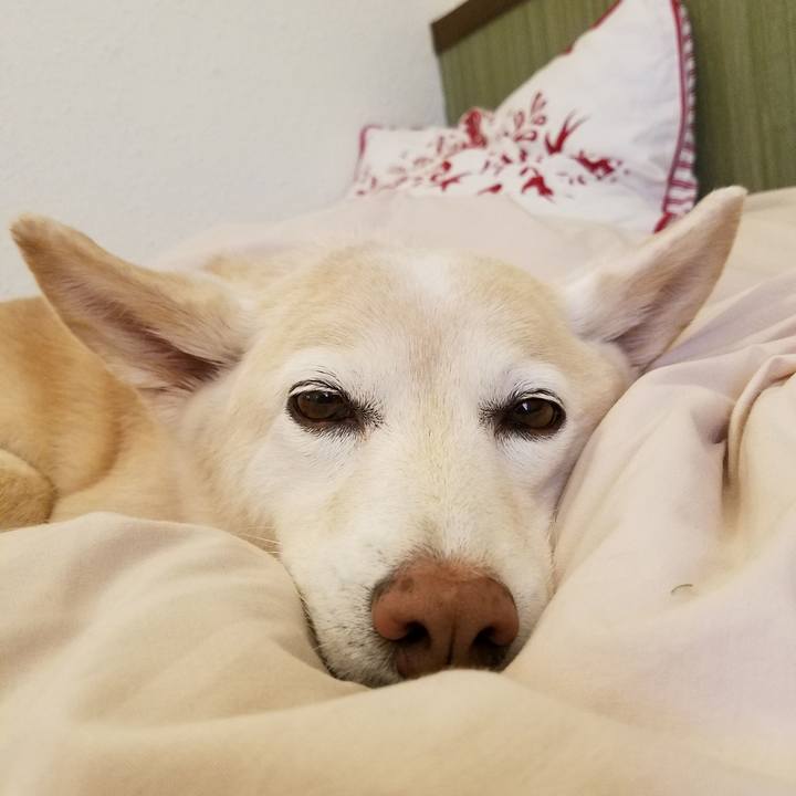 Ba4e2973 5f59 4b27 a053 3ac1b41db07c 1550489172372