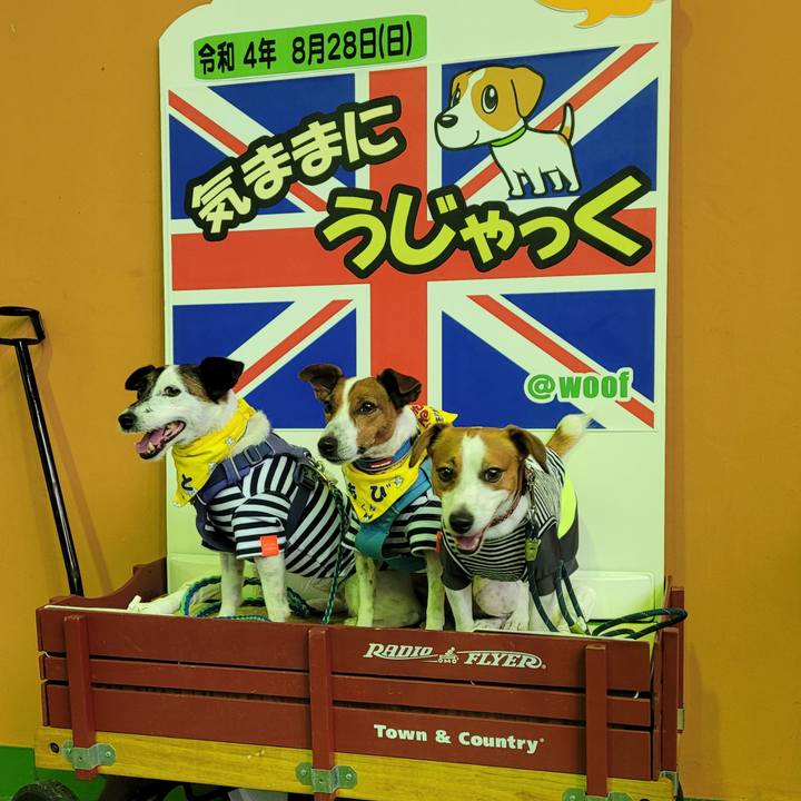 Ba4e3352 7bac 4355 91c6 057b0091af3f 1661684068303