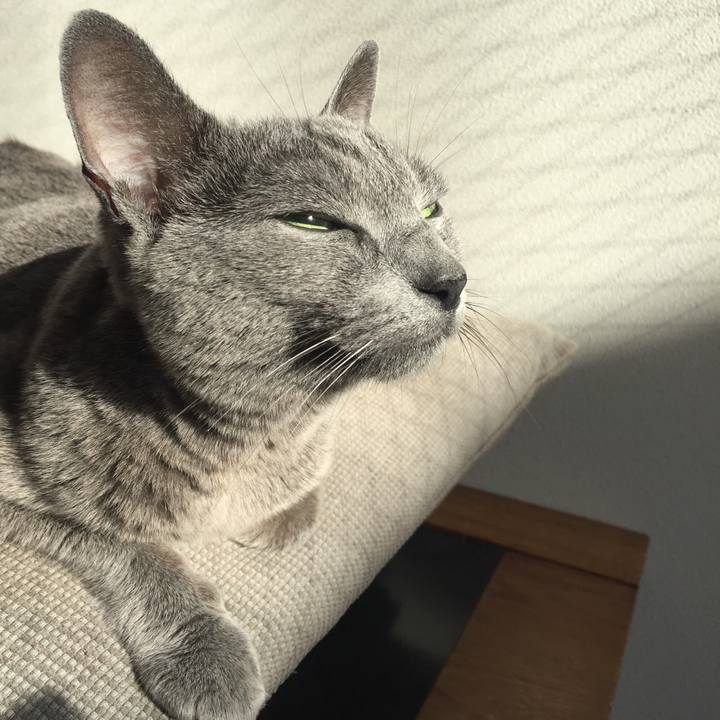 Ba4e8d21 e2be 43e1 897d 1e34c55ce8d5 1573773674867