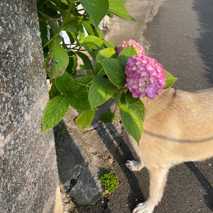 Ba4ea95a 21dd 4fd5 8603 d04f6e9209aa 1686919025577