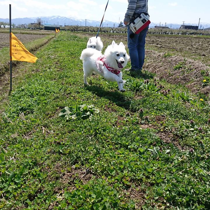 Ba4ebe0a 4e66 44e5 ba0d 9540c1d5bf42 1556438700793