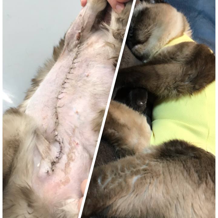 Ba4ec570 1c3e 4095 a56b 95133be2b34e 1598066641458