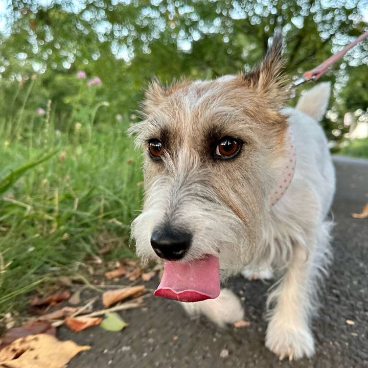 Ba4ee915 d2d3 4cb1 8181 de639c6f12fa 1689938614481