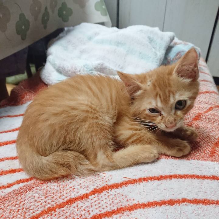 Ba4eef69 ad8a 46d6 bf6f 714c7d79653a 1628373460997