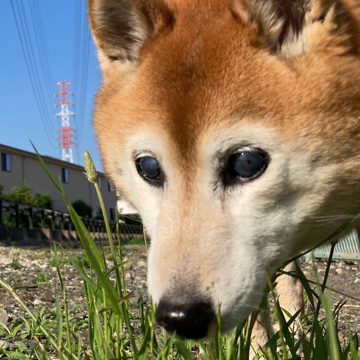 Ba4ef897 1653 4160 b9ee 811c5e45333d 1749077640114