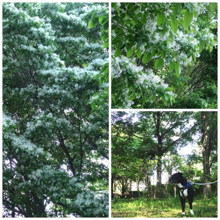 Ba4f1353 70ef 4e4a 9ebe 3f45ead0cea2 1651626708944