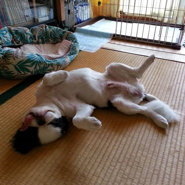 Ba4f1c09 b21d 4590 860a bc7aa694f8a8 1597402743863