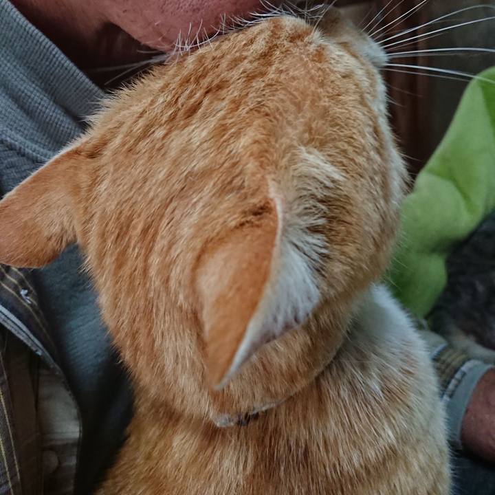 Ba4f8264 c4f8 4c6d 8274 0121f34d4f41 1588378409911