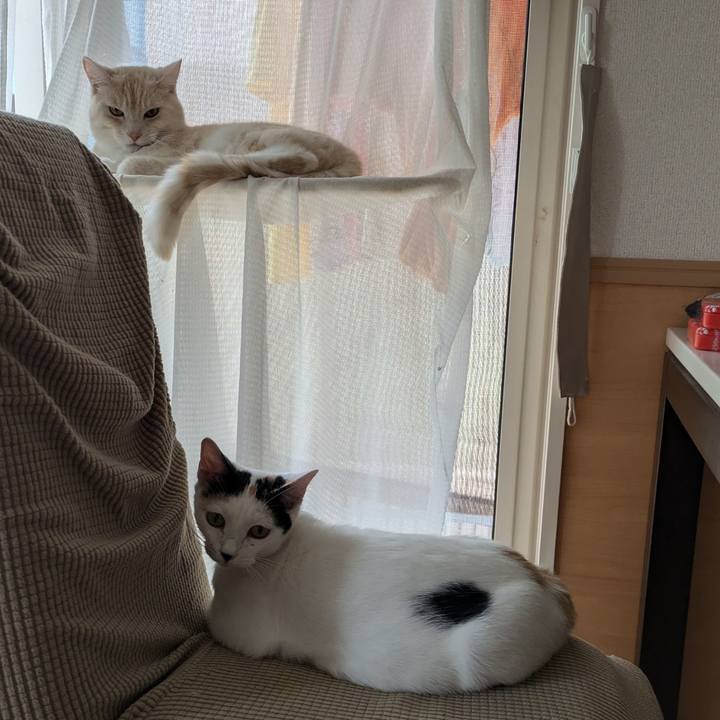 Ba4f871e 0fcc 4f44 a22f 5a98fdb7cb98 1722136638854