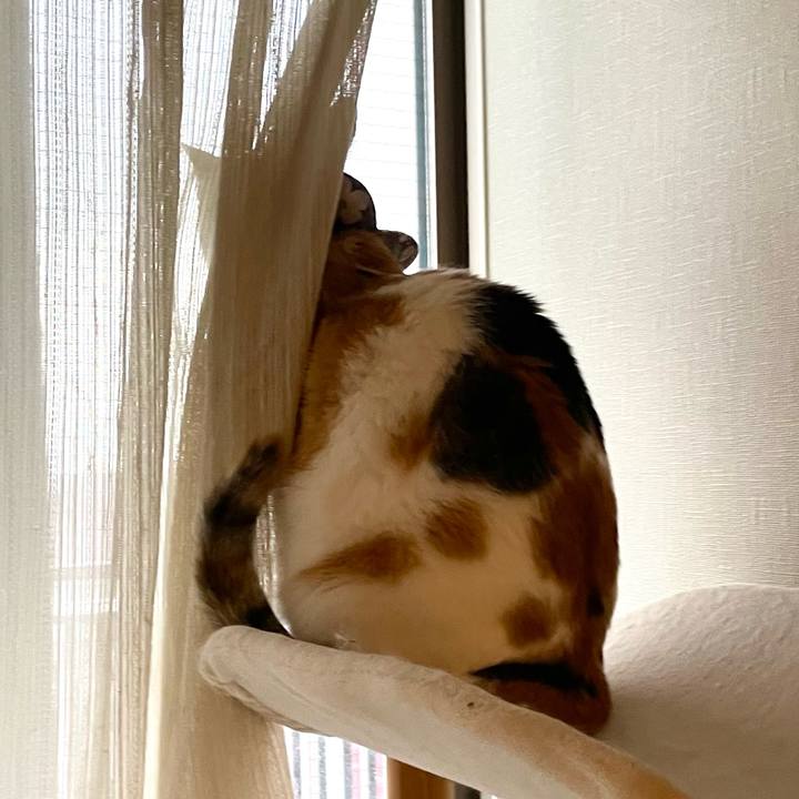 Ba4f8979 15e8 4986 bfec 6c53a7c25d8c 1759564318334