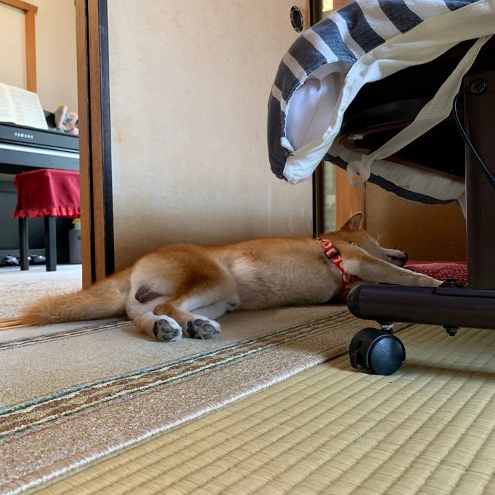 Ba4f8da4 ccee 441f b1dd ee03fc650f95 1568104123550