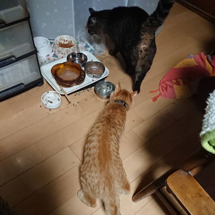 Ba4fb021 2432 44ec 9451 558f7284606c 1639167838909