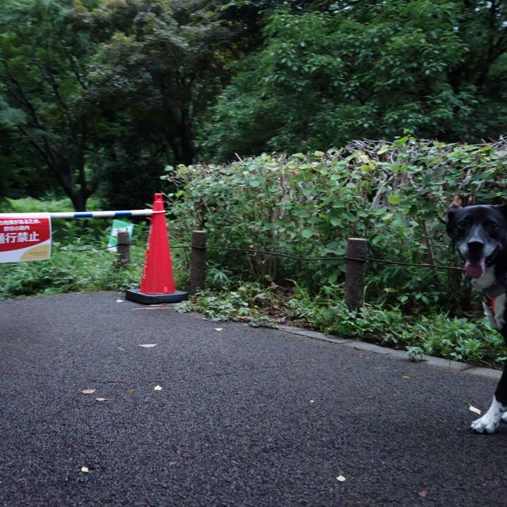 Ba4fc112 bec9 44c9 922b 704df97ace19 1718967806669