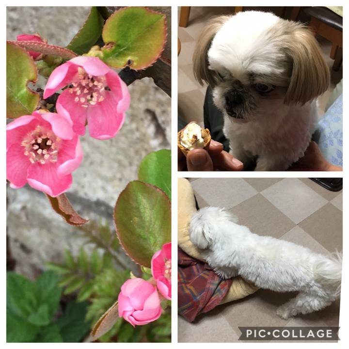 Ba4fcf9b b9ee 4462 9005 7215f219f87e 1555236259521