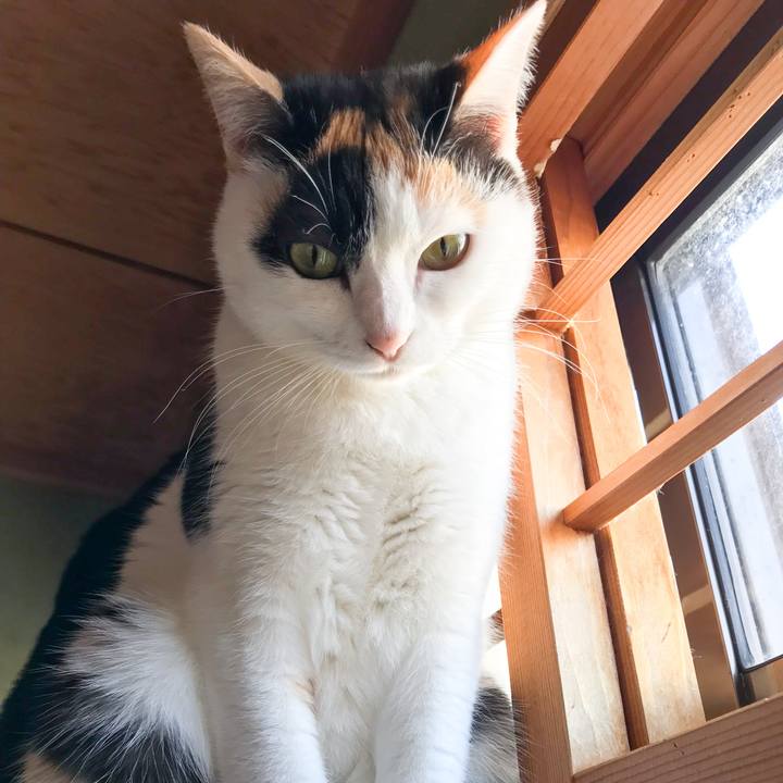 Ba503034 5873 47ab 9ec8 d3d5299c0f71 1521592771638