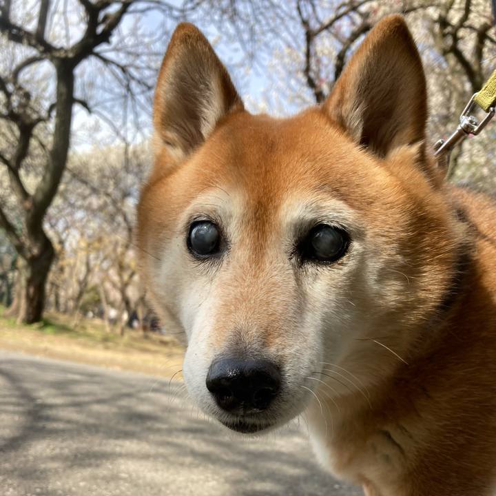 Ba504202 7c06 4766 b410 d6795040866a 1677666025380