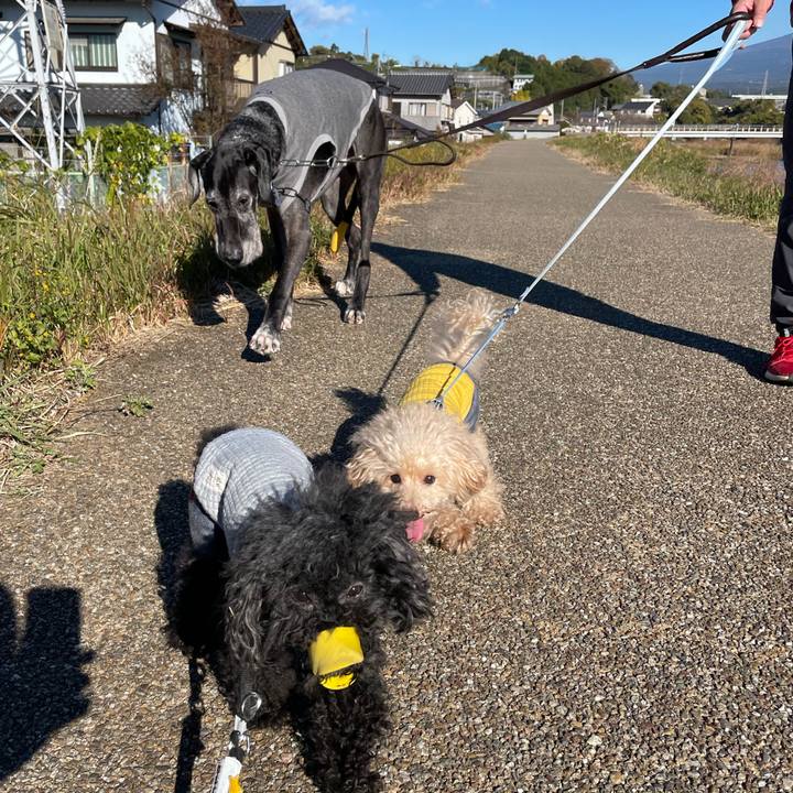 Ba50a205 4163 4917 b563 17bcd1280195 1638009052667