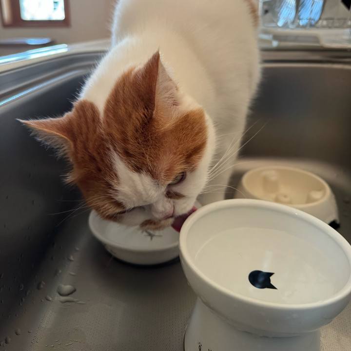 Ba50cd2b b0cc 4dca ab84 109aa8c46d01 1762129346818