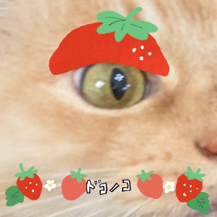 Ba50d56e 82c6 4d82 bc36 60b8d83d19a5 1775197648222