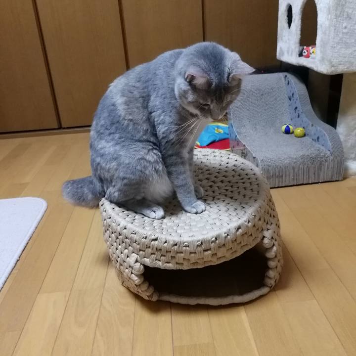 Ba50dd28 1f06 4261 bf9a b2db198d7e89 1537014696851