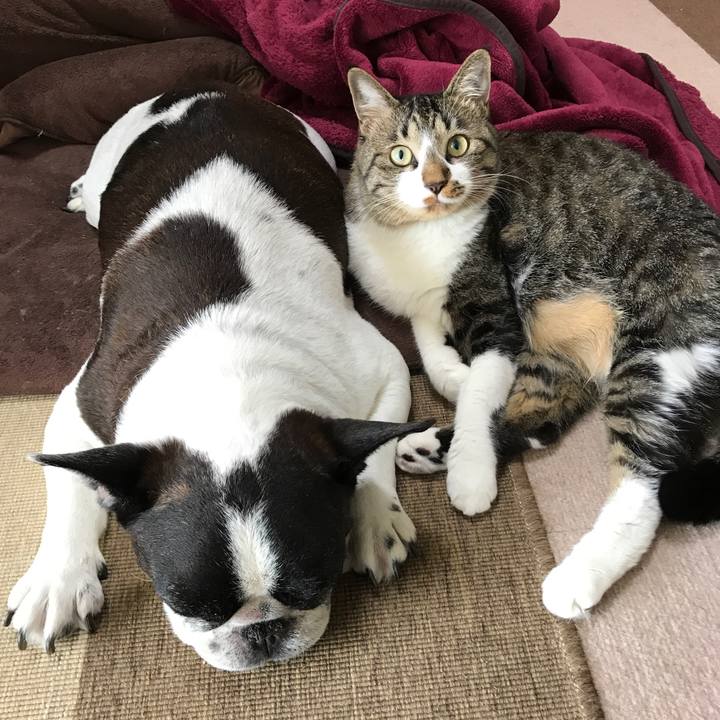 Ba50e7ec 0220 456e a5da 175e05a52ebe 1534132447478