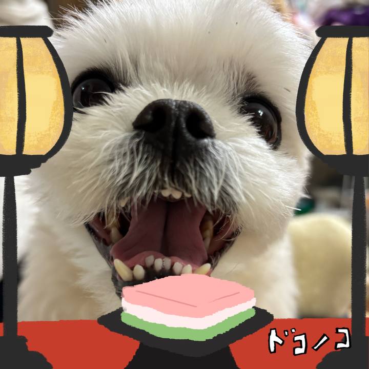 Ba50fece 8aa0 495a b8bf 636e84b8f177 1741141825187