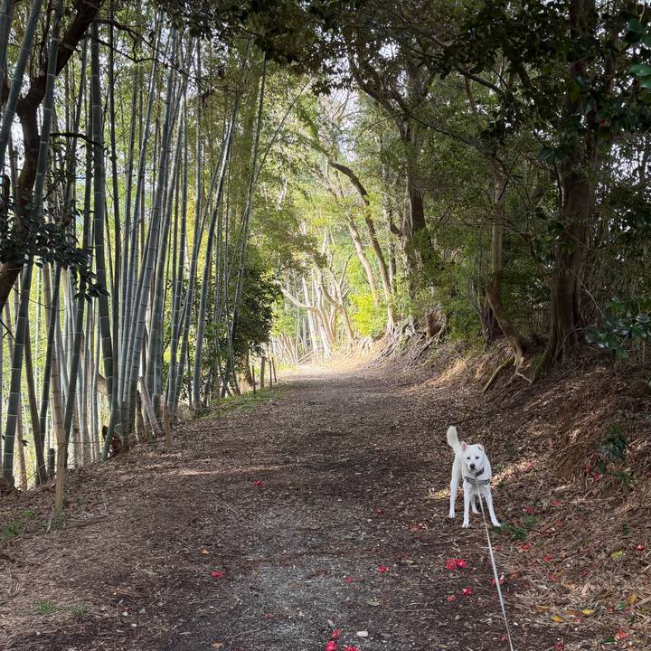 Ba51166f 5e4d 4a2c ba99 5ba489effd33 1772940938708