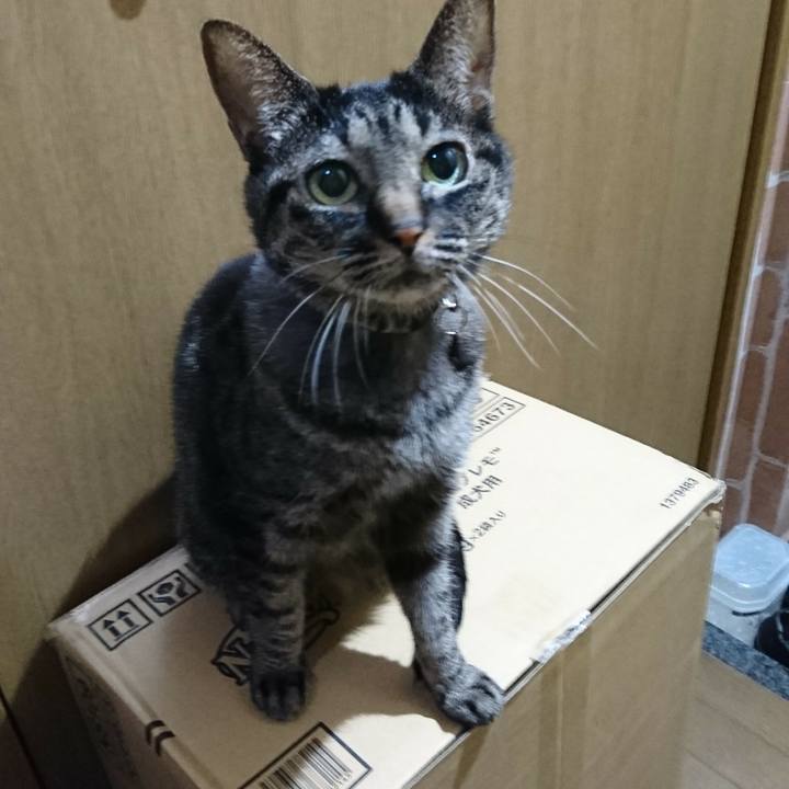 Ba51231b fd77 4207 a650 a9062b7cbdb4 1569675982941