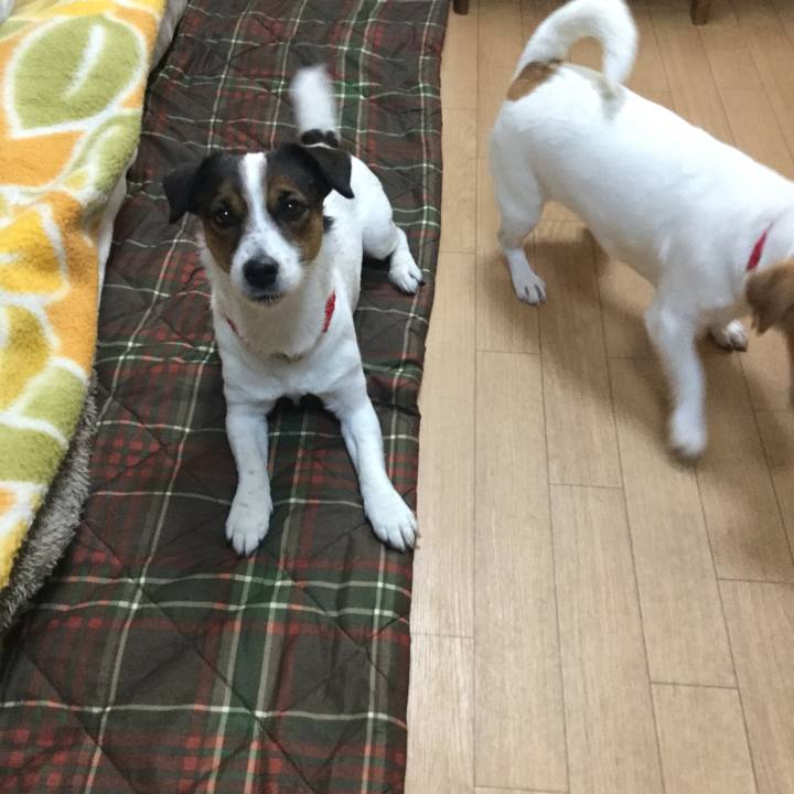 Ba512883 2a8c 47e3 8421 f9020f7d0182 1551163863027