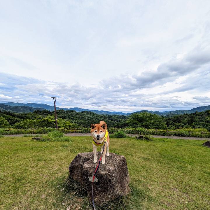 Ba5140a9 d421 4c67 99c9 30c73d15010a 1716824673938