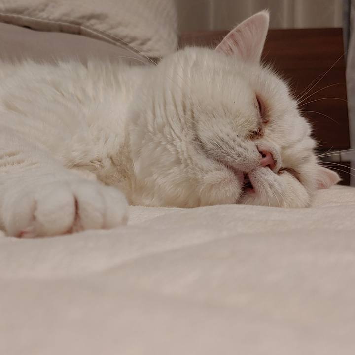 Ba517e42 fa97 4bf6 8eac 904b3ee129d5 1640524374790