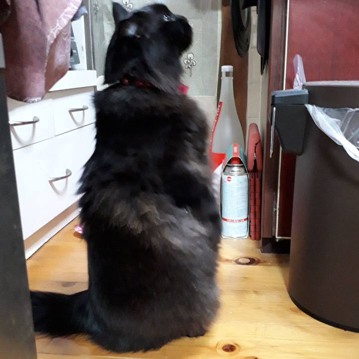 Ba519268 5ede 43a4 88c2 a4cf3e256cc6 1519720606987