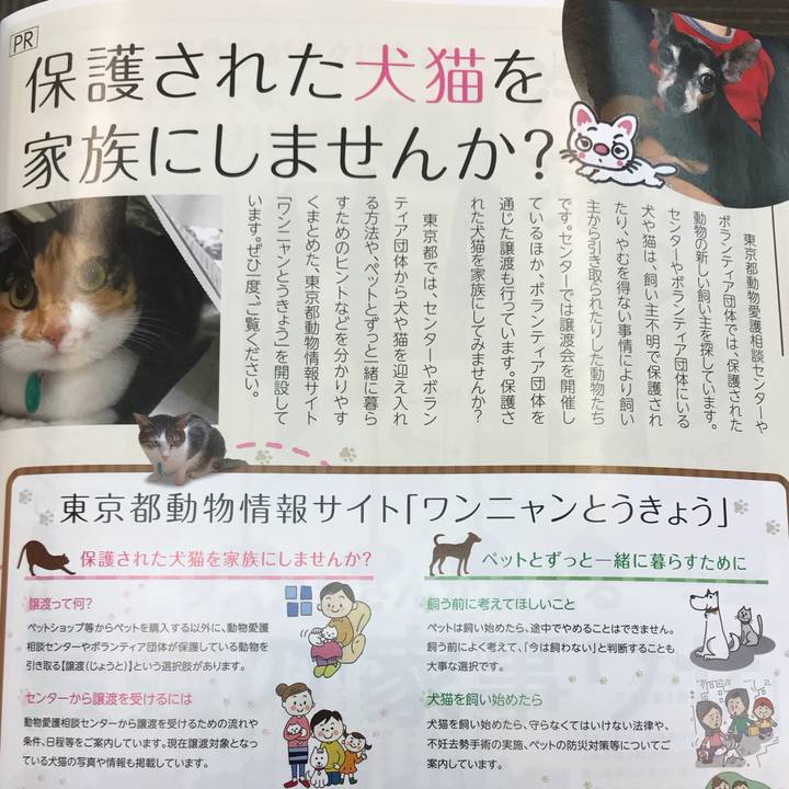 Ba51b7d6 40a2 471b bbc9 573775a3e436 1552102014853