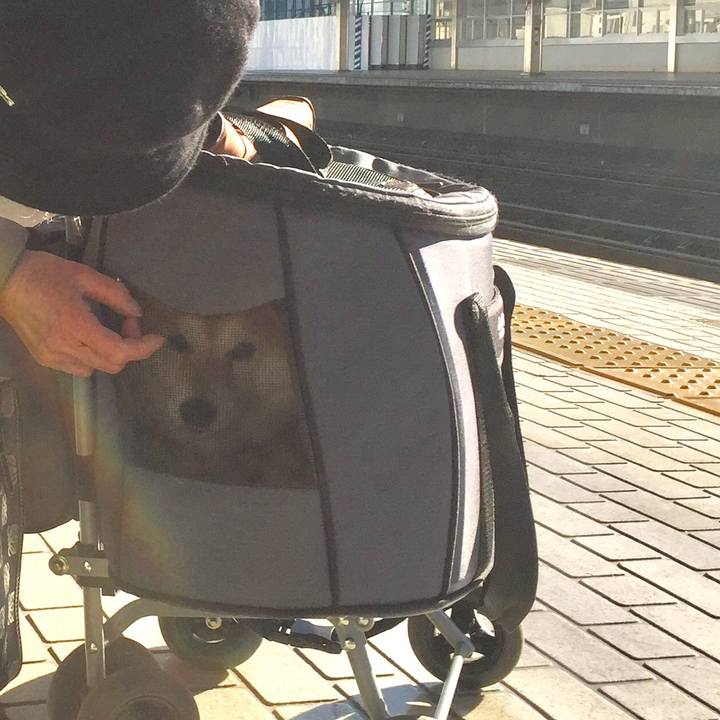 Ba521cdd 4cad 48d1 8d48 ae721710dc1f 1578639027014