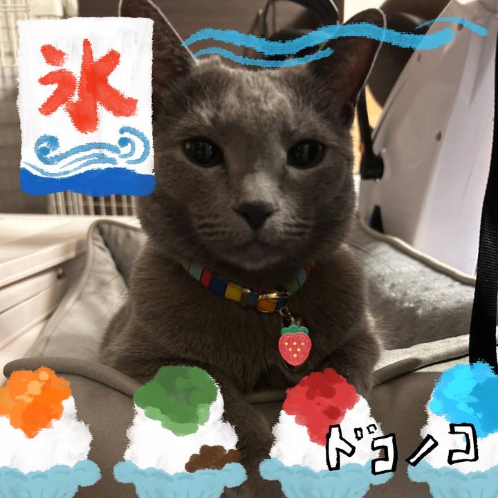 Ba5224e8 41e9 4a16 879a 5704fc3cc265 1723202467671