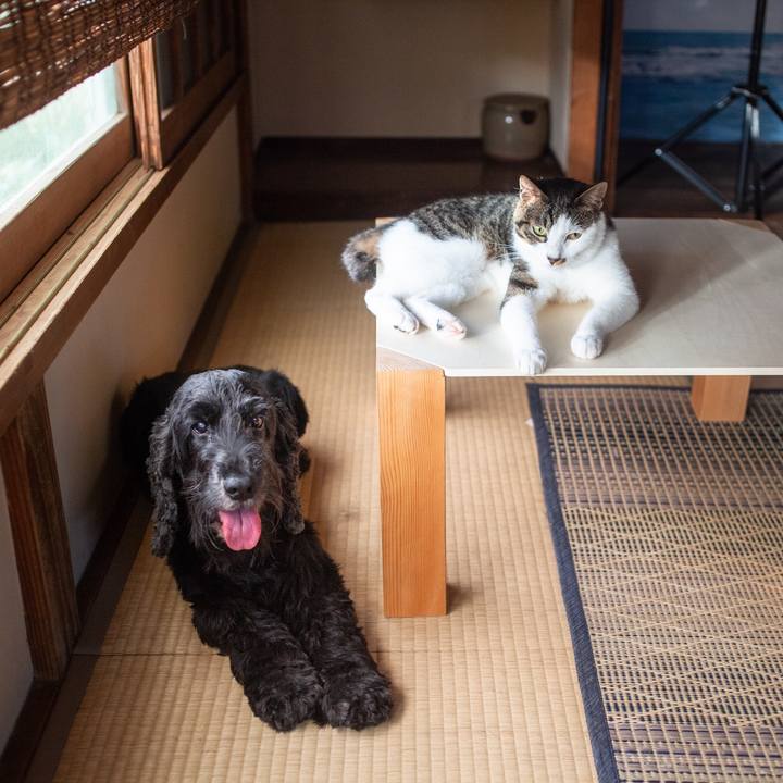 Ba5245dc cc6f 41d9 bc88 7d0a3c21897f 1565838418291