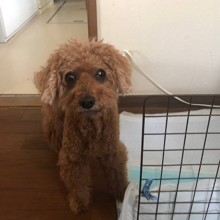 Ba525f1f d403 406b 8f2a 5ac635147f41 1599091616720