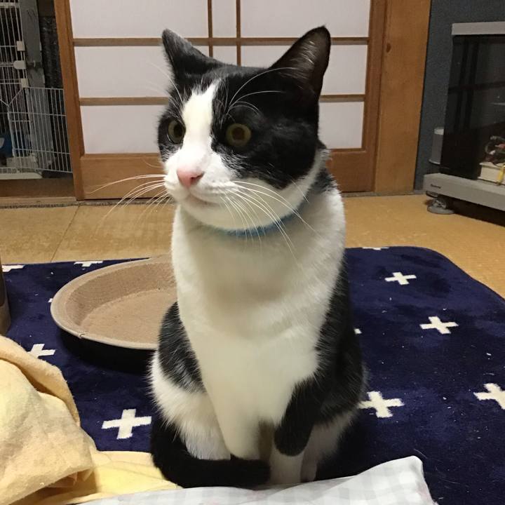 Ba526b75 58e2 4c71 ad47 4a36d601ff37 1736848234347