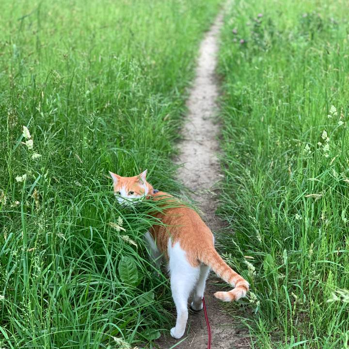 Ba527316 160d 4278 9bc8 2097153bc9c4 1591003867381