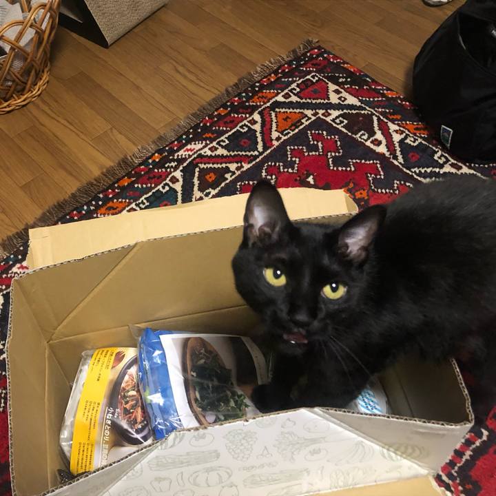 Ba527900 b508 4d38 8afc 81248d016958 1658581766643