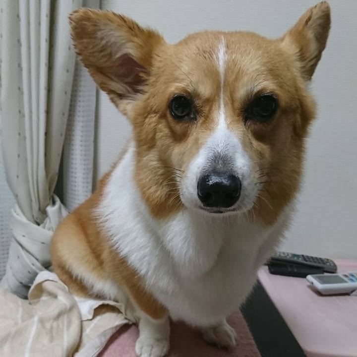 Ba528363 a8e8 4e43 8be6 dab410055515 1548409724045