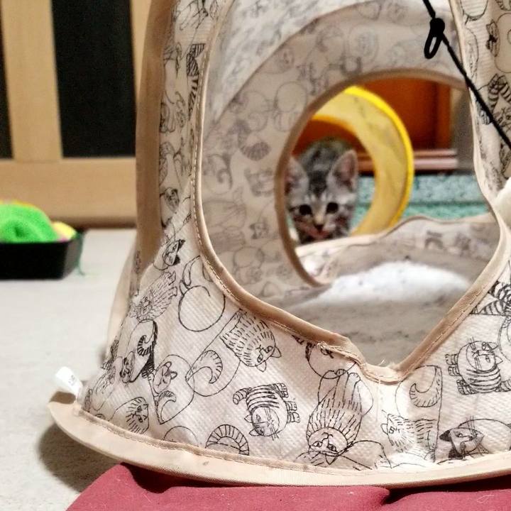 Ba52ad68 266e 4a06 82e2 60db5985bef6 1664019858880