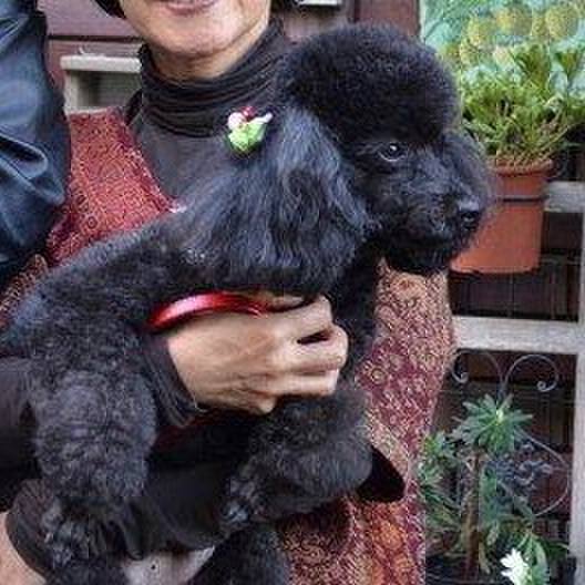 Ba52c6c0 7840 410f bb19 804d6b5cebec 1662782972517