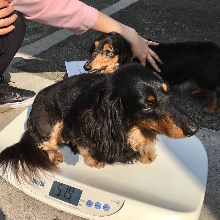 Ba52f2ad 81c0 4c39 be79 328d6119382e 1522832140687