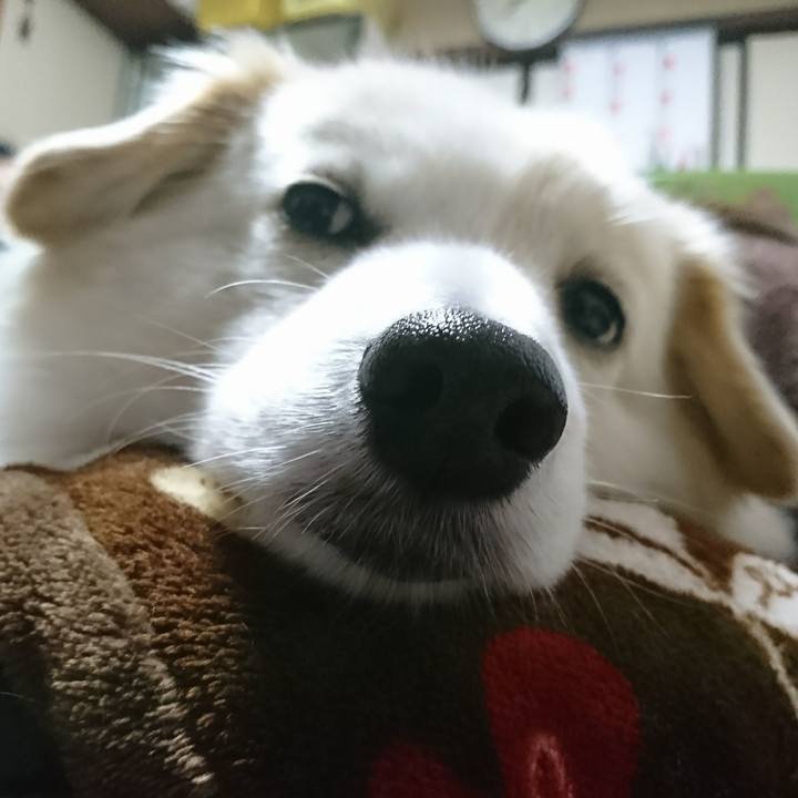 Ba531927 be60 40d1 95af c3222b0d5486 1517053596938