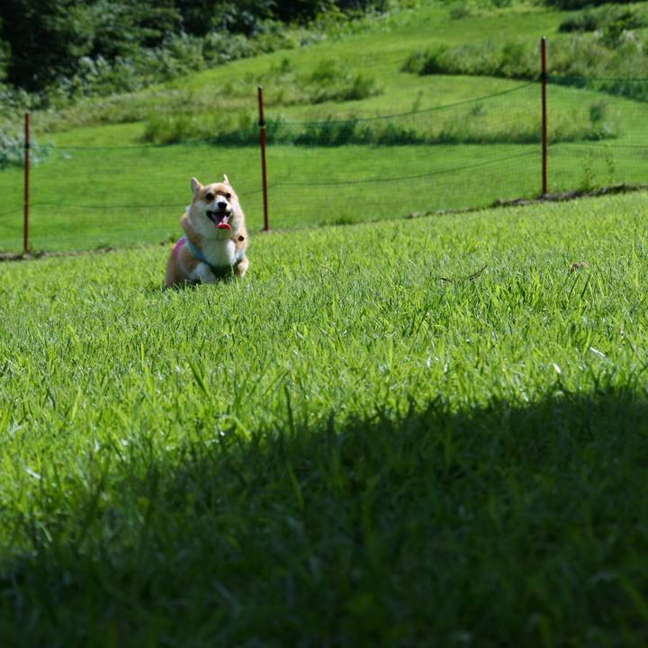 Ba532d29 c7e7 4752 98b3 f3ec43224a90 1566872454215