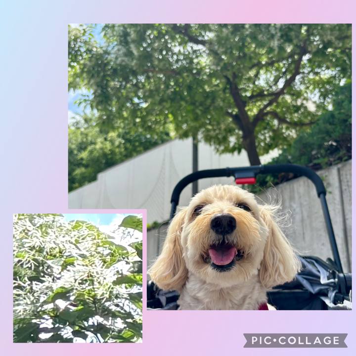 Ba5332b4 f2bc 40a2 960f a5997857f132 1777179739549