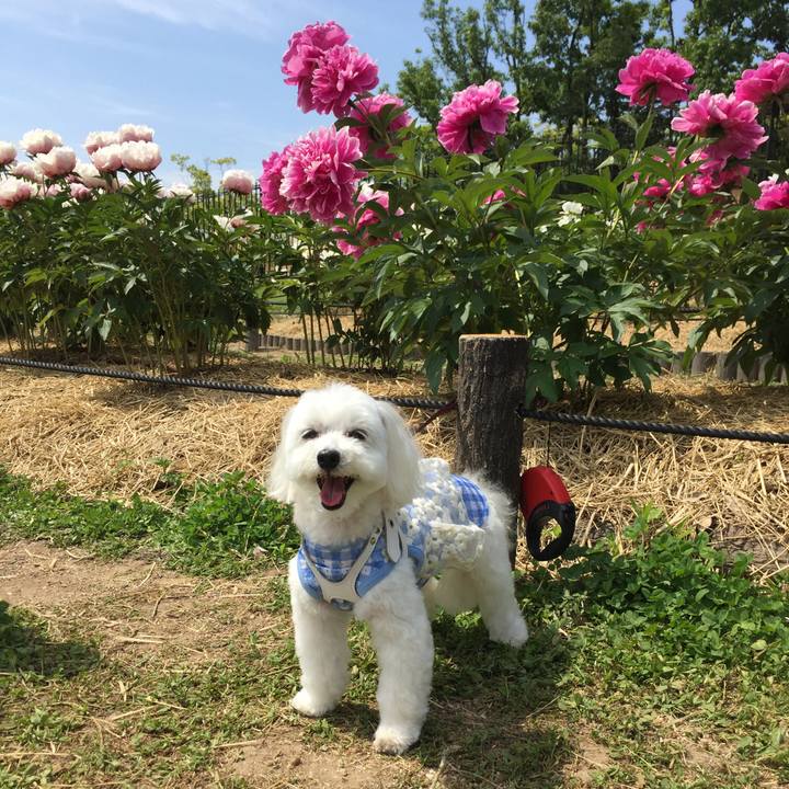 Ba5339b1 a0a5 4737 9939 f5b67bb974cc 1557625366963