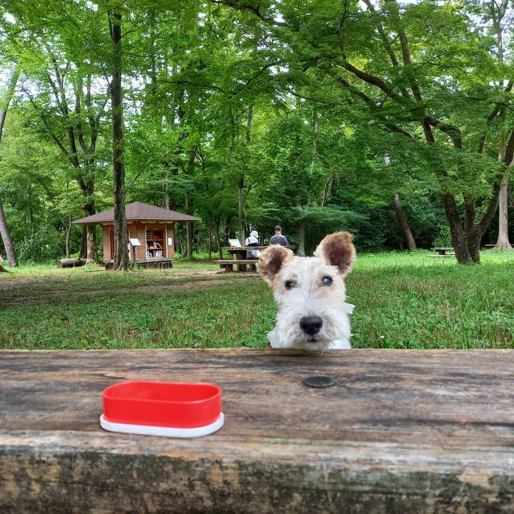 Ba533aea 99a8 4e98 b90f 5fa8ab838bf3 1625905918602