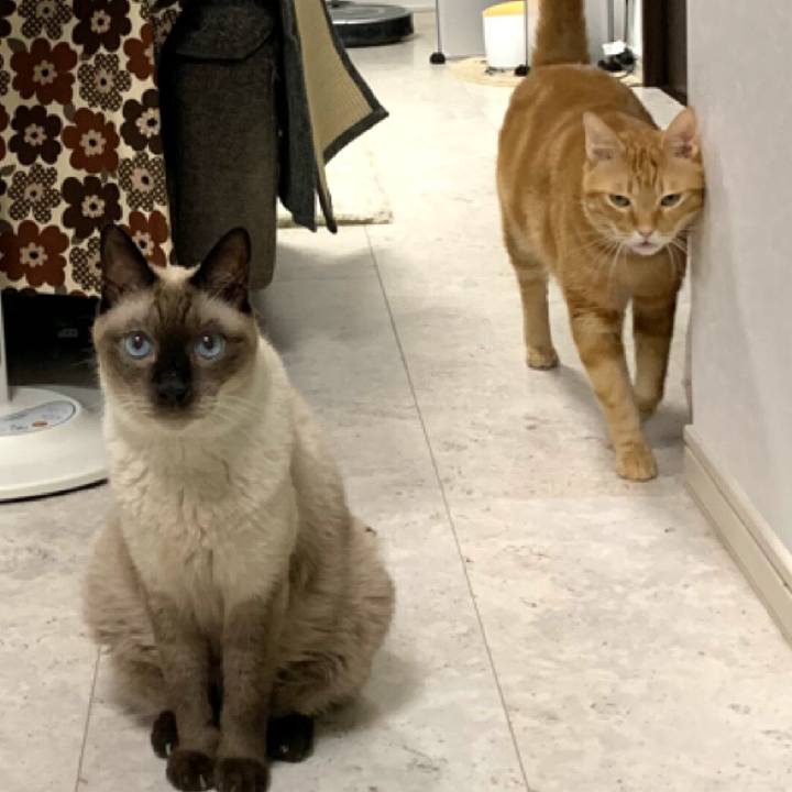 Ba534663 1c2d 416a 9e0a ee913bdd329e 1571870165953